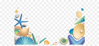 Starfish Euclidean vector Clip art - Decorative sea shells 