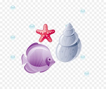 Starfish Euclidean vector Computer file - Fish conch starfish 
