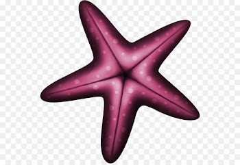 Starfish Euclidean vector Purple Blue - Purple starfish 