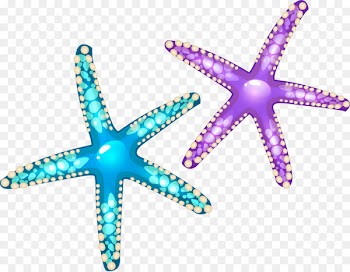 Starfish Euclidean vector Seashell - Colorful cartoon starfish 