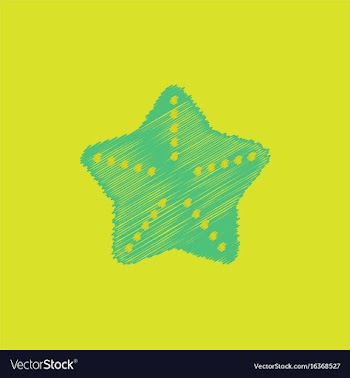 Starfish flet in hatching style vector image