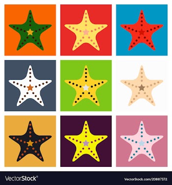 Starfish in flat style marine icon in cartoon vector image