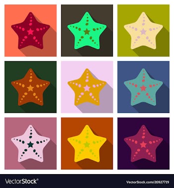 Starfish in flat style marine icon in cartoon vector image