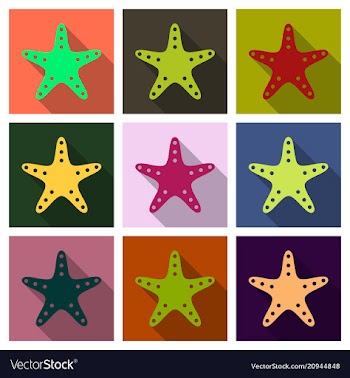 Starfish in flat style marine icon in cartoon vector image