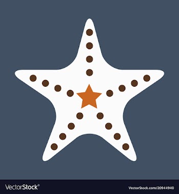 Starfish in flat style marine icon in cartoon vector image