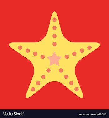Starfish in flat style marine icon in cartoon vector image