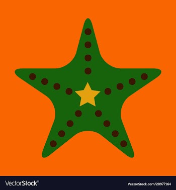 Starfish in flat style marine icon in cartoon vector image