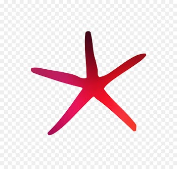 Starfish Line Angle Product design Graphics -  
