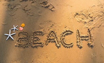 starfish on beach