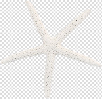 Starfish Pattern, White starfish transparent background PNG clipart