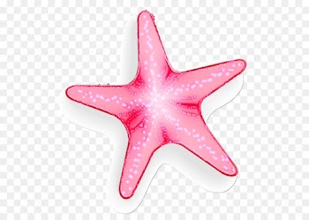 starfish pink marine invertebrates star