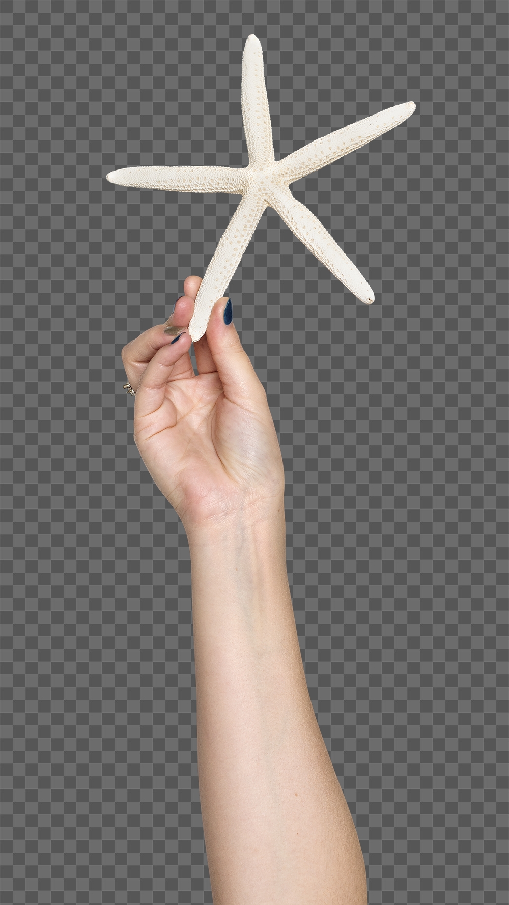 Starfish png in hand sticker | Free PNG - rawpixel