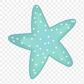 Starfish png sticker, marine life | Free PNG - rawpixel