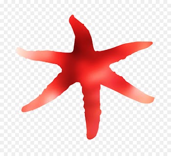 Starfish RED.M -  