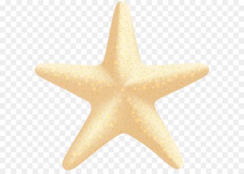 Starfish - Sea Star PNG Clip Art Image 