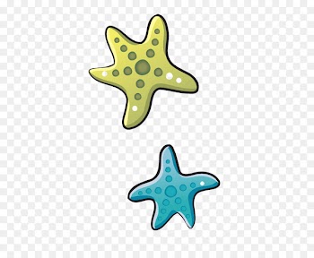 Starfish - Sea stars 