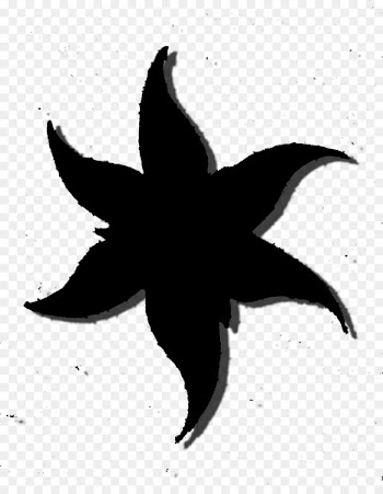 Starfish Silhouette Flower Leaf -  