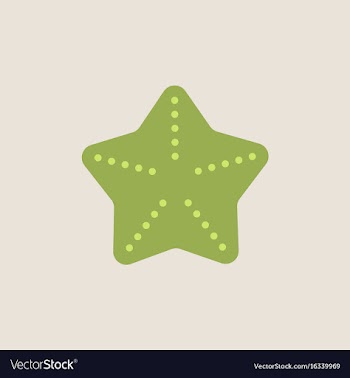Starfish vector image