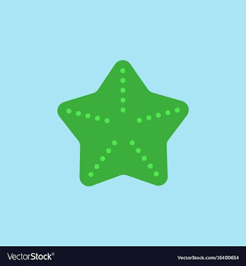 Starfish vector image