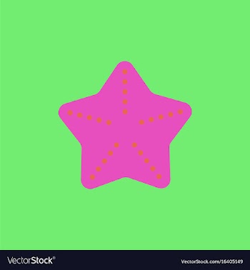 Starfish vector image