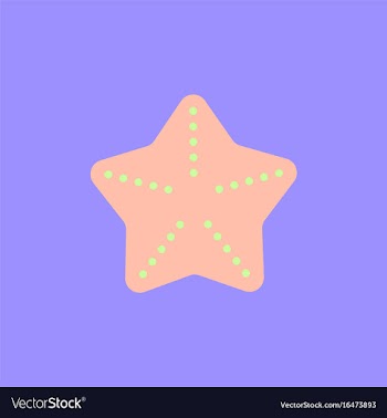 Starfish vector image