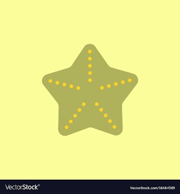 Starfish vector image