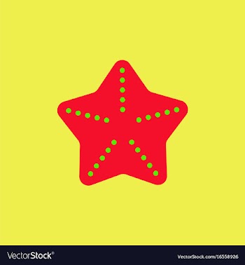 Starfish vector image