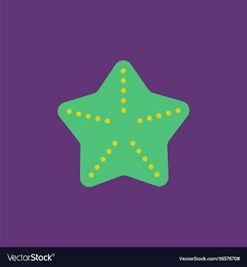 Starfish vector image