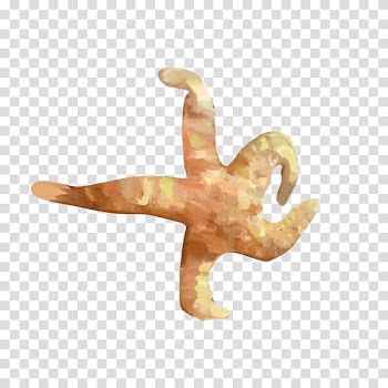 Starfish Watercolor painting, Watercolor starfish transparent background PNG clipart