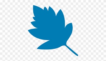 Starleaf Breeze Logo - Starleaf Cloud