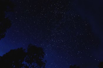 starry night