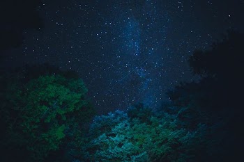 Starry Night Sky From Below Trees