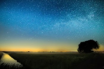 starry nights