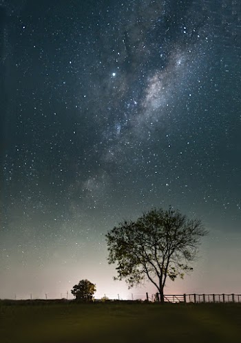 Starry Sky