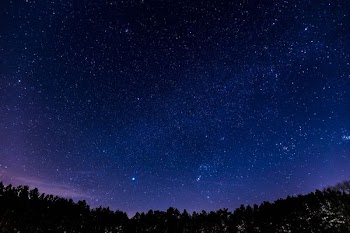 stars in the sky above silhouette of trees