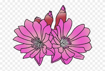 State Floral Emblem Of Montana - Montana State Flower Clipart