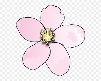State Flower For Michigan