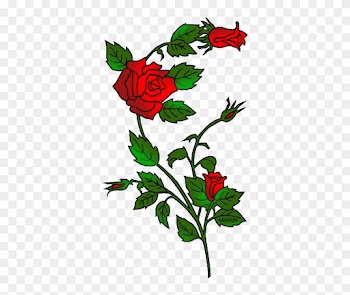 State Flower Of Oklahoma - Wedding Roses Embroidery Design