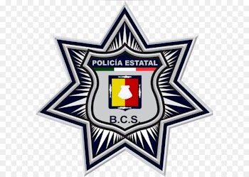 State police Tamaulipas Federal Police Secretariat of Public Security - Police 