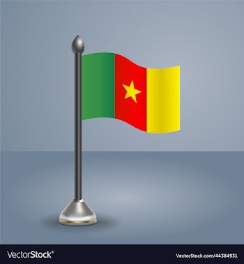 state table flag of camerron