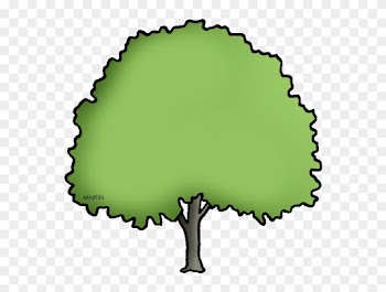 State Tree Of North Dakota - North Dakota State Tree