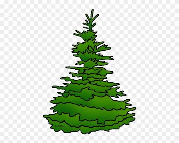 State Tree Of South Dakota - Spruce Tree Clip Art