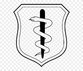 States, Symbol, Doctor, Shield, Health, Badge - Air Force Medical Corps
