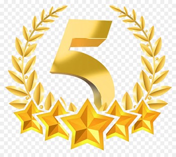 STEADfast IT 5 star Customer Service Home Care Service Hospital - 5 stars 