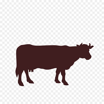 Steak, Beef, Calf, Bovine, Livestock PNG