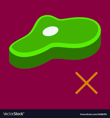Steak flat icon isolated on background steak on vector image