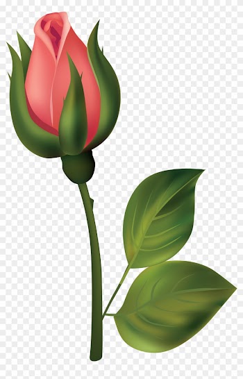 Stem Red Rose Bud Png Clipart - Rose Buds Clip Art