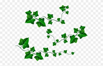 Stenciling - Ivy Leaf Clip Art