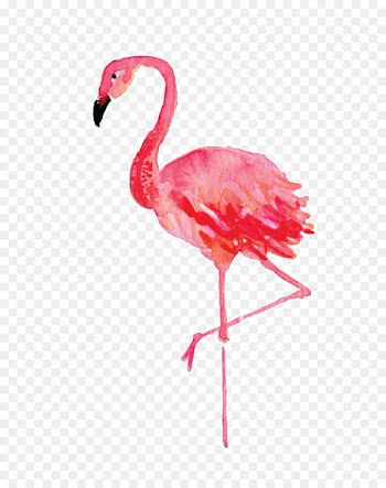 Stephenville Flamingo Watercolor painting Drawing Canvas - flamingos 