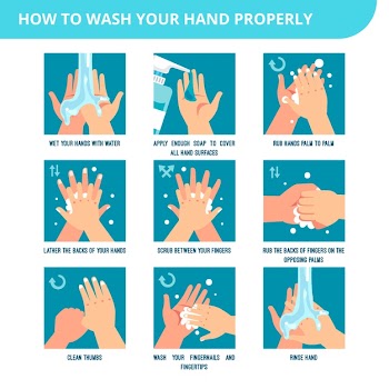 Steps to hand washing for prevent illness and hygiene Free Vector